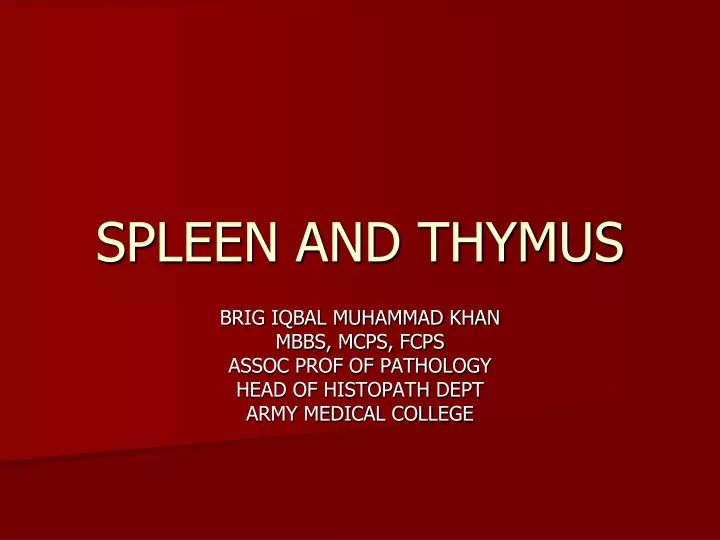 spleen and thymus