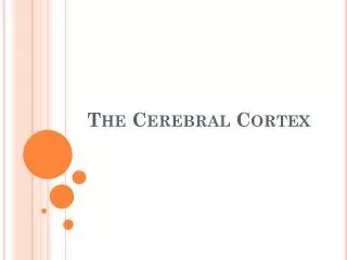 The Cerebral Cortex