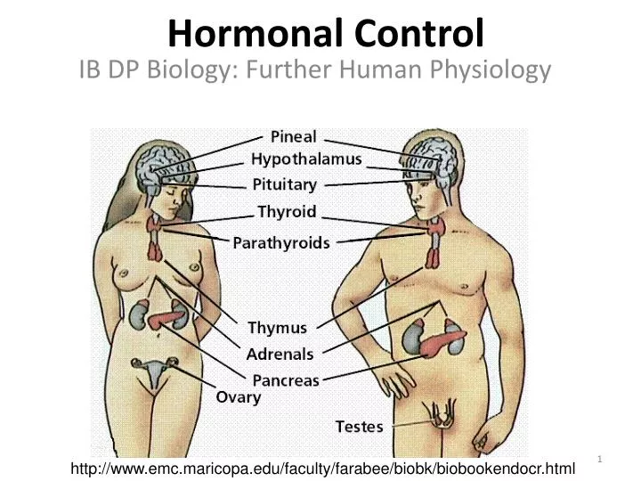 hormonal control