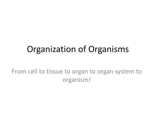 Organization of Organisms