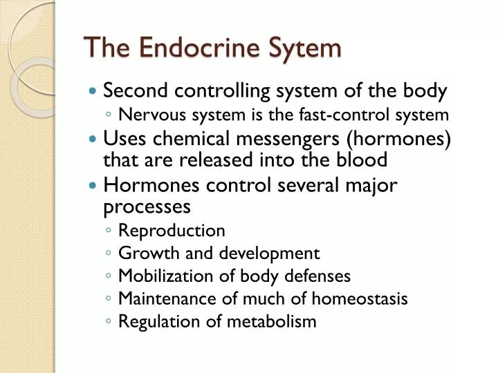 the endocrine sytem