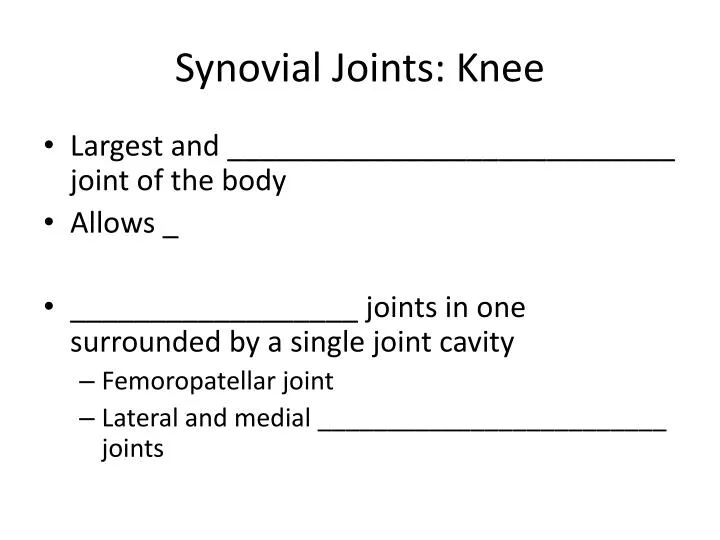 synovial joints knee