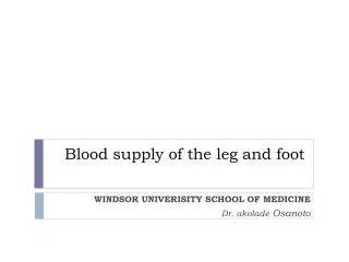 Blood supply of the leg and foot