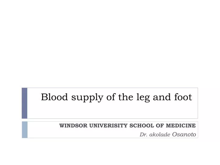 blood supply of the leg and foot