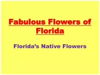 Fabulous Flowers of Florida