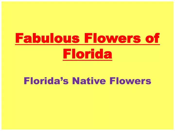 fabulous flowers of florida