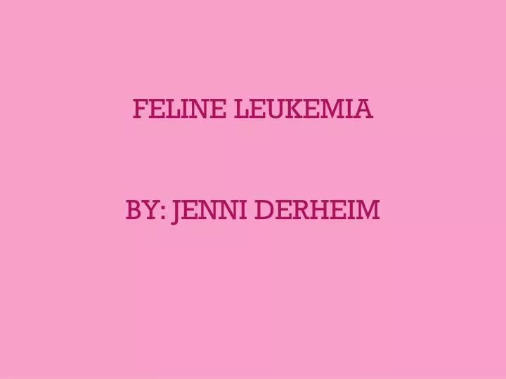 feline leukemia by jenni derheim