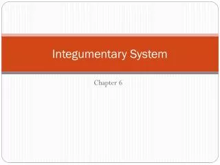 Integumentary System