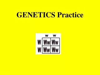 GENETICS Practice