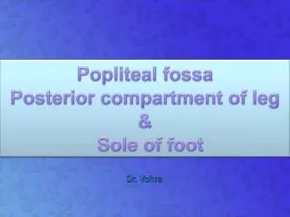 Popliteal fossa Posterior compartment of leg &amp; Sole of foot