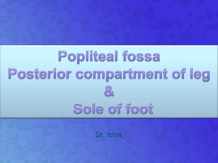 popliteal fossa posterior compartment of leg sole of foot