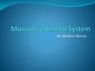 Muscular/Skeletal System