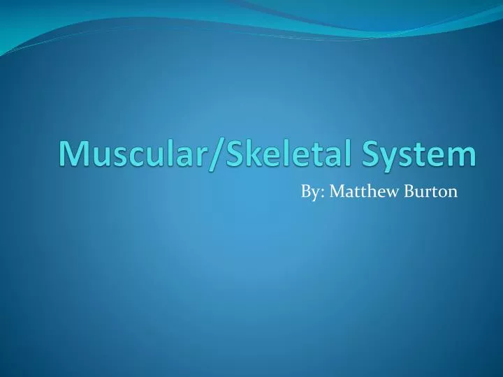muscular skeletal system