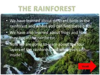 We have learned about different birds in the rainforest and where you can find these birds.