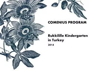 COMENIUS PROGRAM