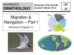 Understanding Bird Migration: Navigation and Behavior Patterns - slide 1