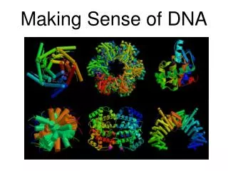 Making Sense of DNA