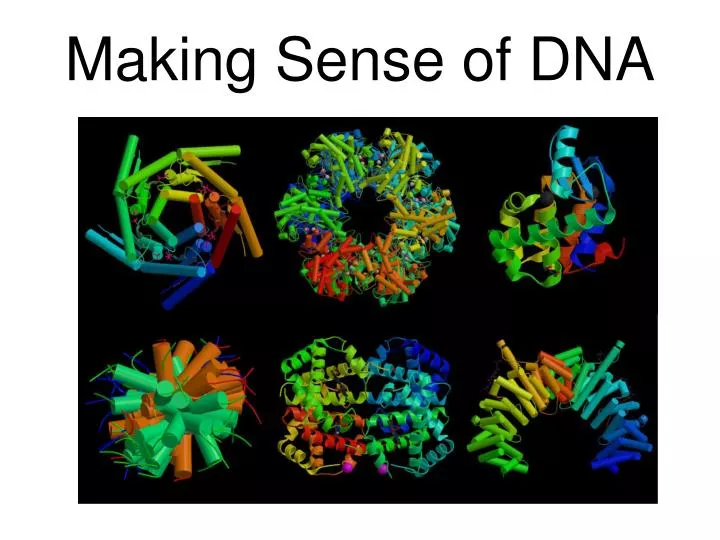 making sense of dna