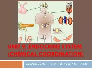 UNIT 9: ENDOCRINE SYSTEM (CHEMICAL COORDINATION)
