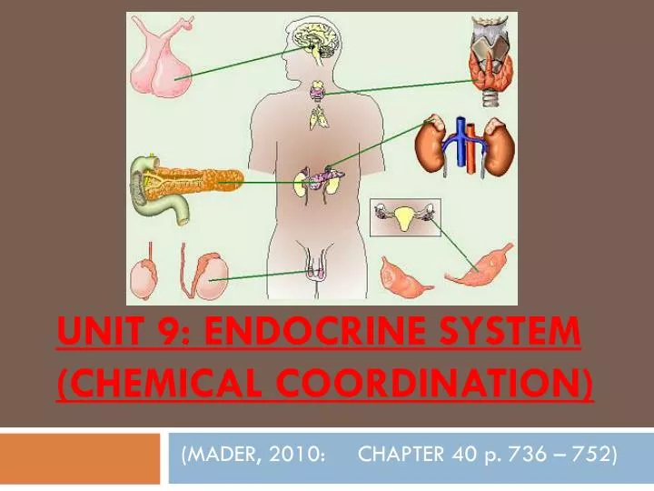 unit 9 endocrine system chemical coordination