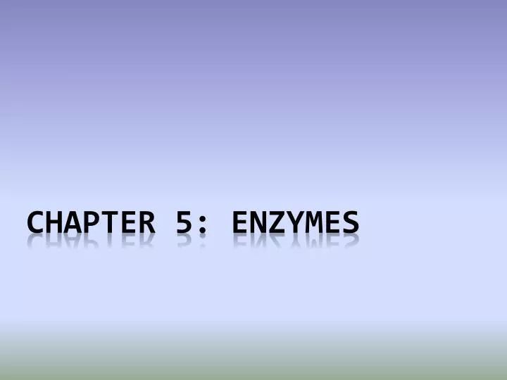 chapter 5 enzymes