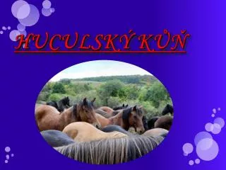 huculsk k