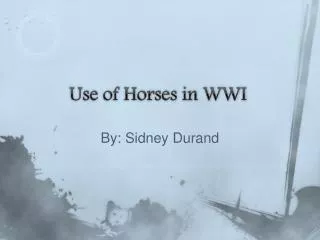 Use of Horses in WWI
