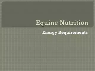 equine nutrition