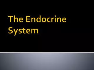 the endocrine system