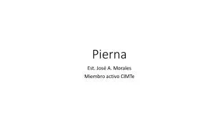 pierna