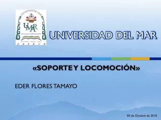 universidad del mar