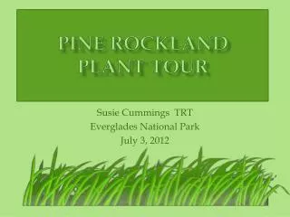 Pine Rockland Plant Tour