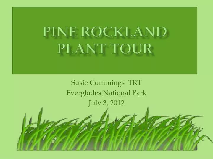 pine rockland plant tour