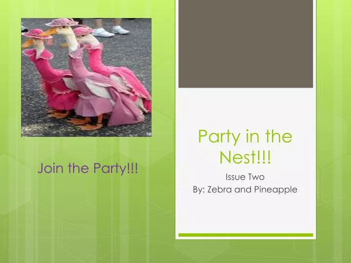 party in the nest