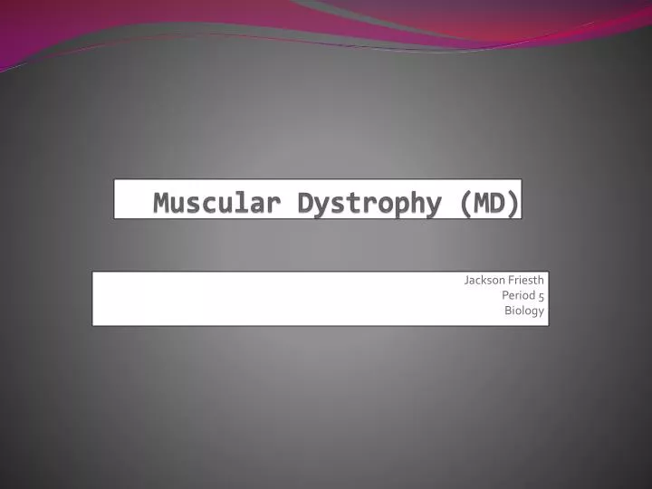 muscular dystrophy md