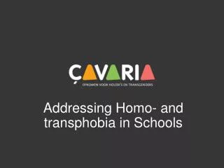 Addressing Homo- and transphobia in Schools
