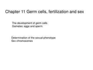 Chapter 11 Germ cells, fertilization and sex