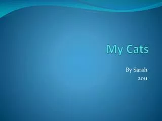my cats