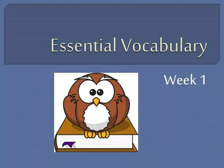 essential vocabulary