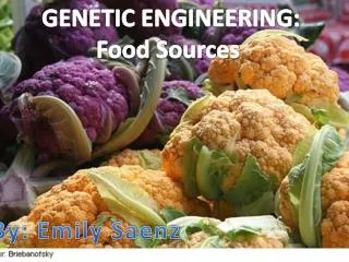 GENETIC ENGINEERING: Food Sources