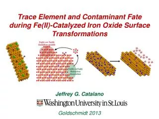 Trace Element and Contaminant Fate during Fe(II )-Catalyzed Iron Oxide Surface Transformations