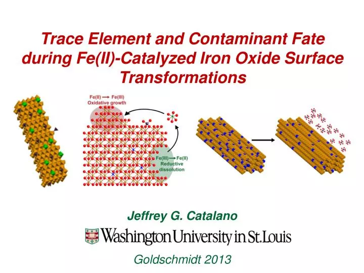 trace element and contaminant fate during fe ii catalyzed iron oxide surface transformations