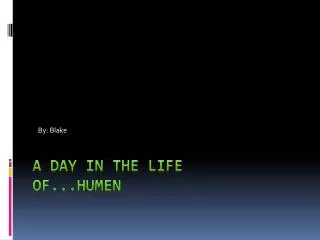 a day in the life of...humen