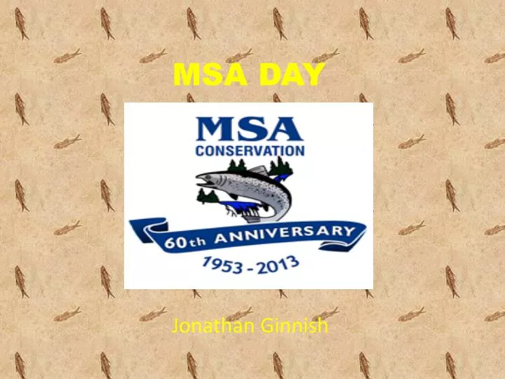 msa day