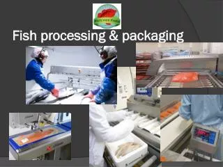 Fish processing &amp; packaging
