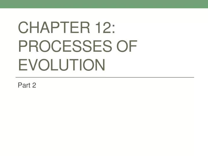 chapter 12 processes of evolution
