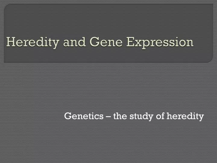 heredity and gene expression