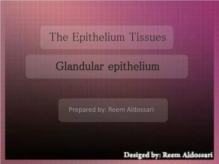 the epithelium tissues glandular epithelium