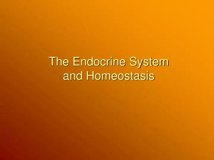 the endocrine system and homeostasis