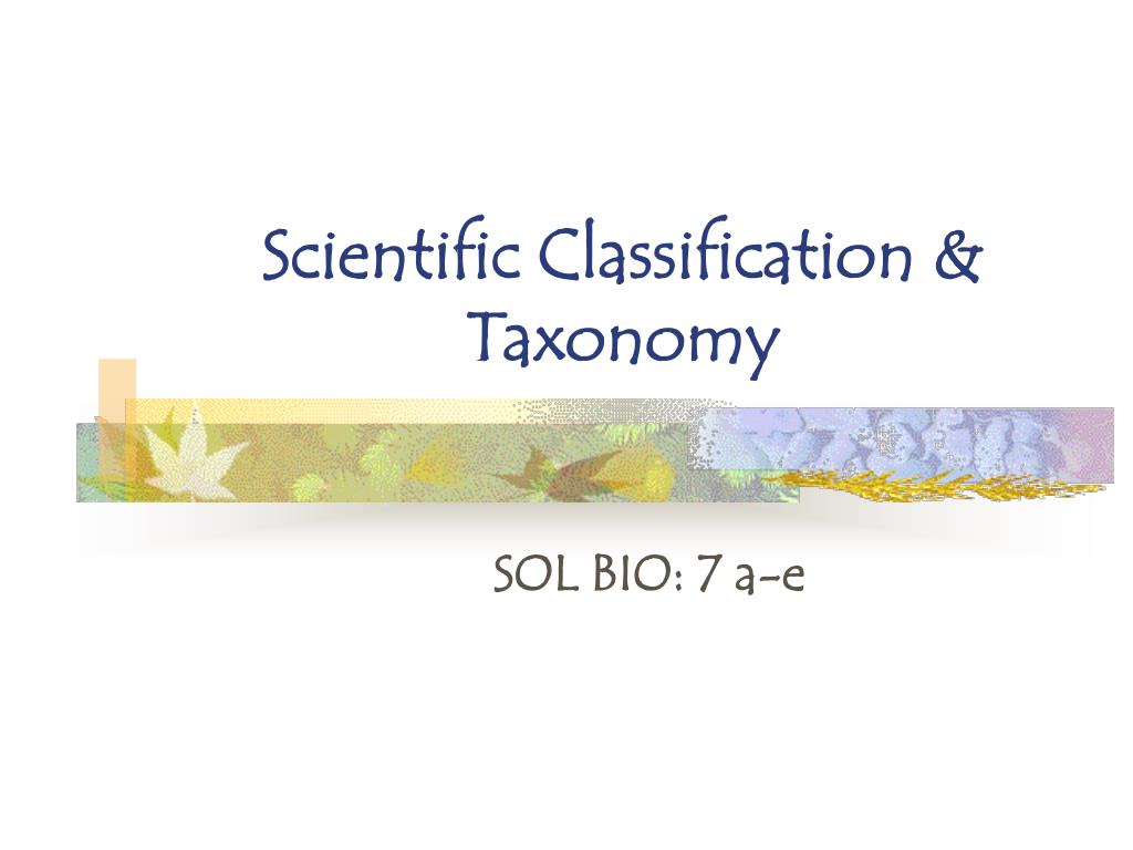 PPT - Scientific Classification & Taxonomy PowerPoint Presentation - ID ...